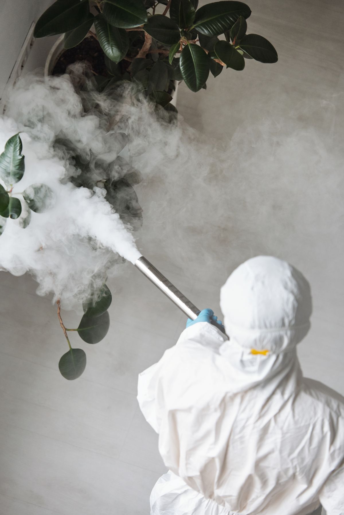Aplicación con equipo de fumigación y protección personal, fotografía de referencia