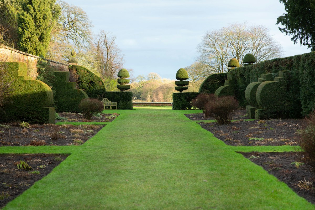 Jardín con árboles y áreas verdes, fotografía de referencia